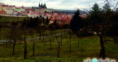 Petřín CESTA Z pRAŘSKÝSHO HRADU