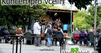 Koncert pro Oešský včelín.