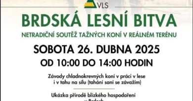 Koňské závody v Brdech