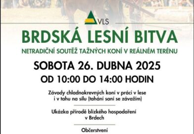 Koňské závody v Brdech