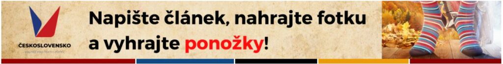 Wikipedie - 6 ročník