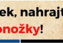 Wikipedie - 6 ročník