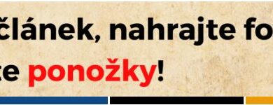 Wikipedie - 6 ročník